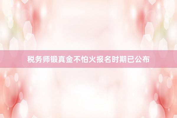 税务师锻真金不怕火报名时期已公布