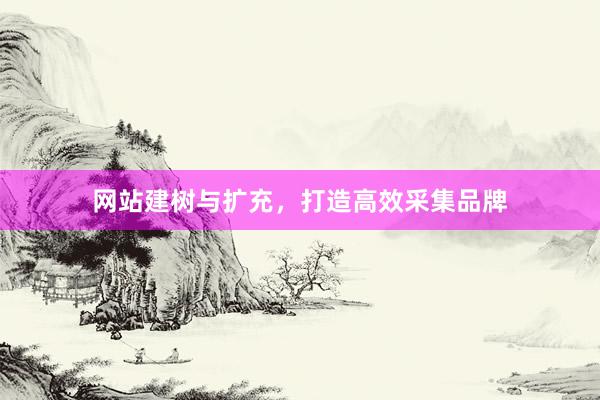 网站建树与扩充，打造高效采集品牌