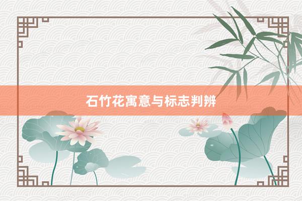 石竹花寓意与标志判辨