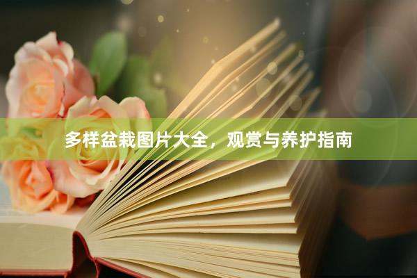 多样盆栽图片大全，观赏与养护指南